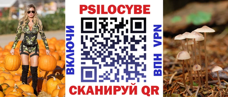 Галлюциногенные грибы Psilocybine cubensis Балей