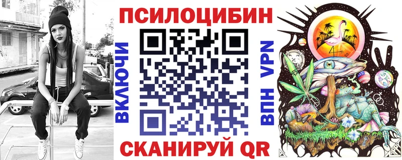 Купить закладки  Балей  Псилоцибиновые грибы Magic Shrooms 